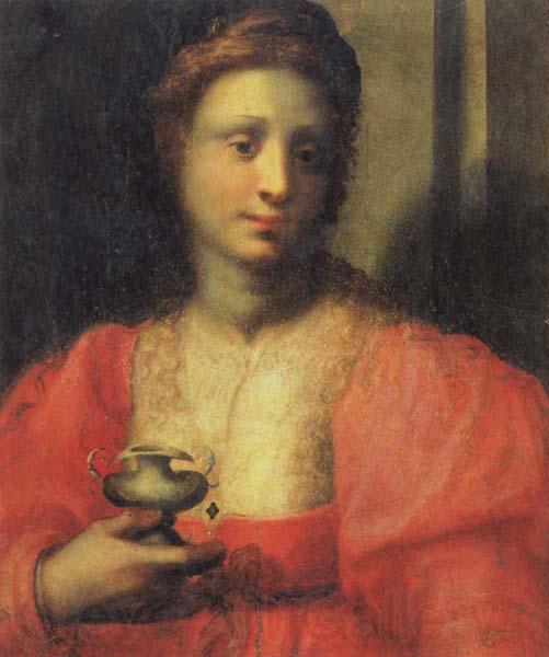 PULIGO, Domenico Portrait of a Woman Dressed as Mary Magdalen Germany oil painting art